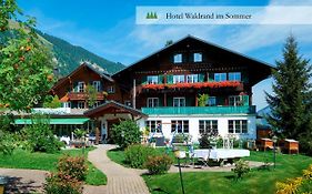 Hotel Waldrand Lenk